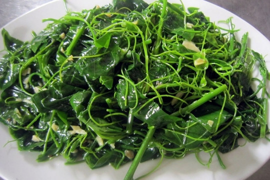 Thứ rau dại có tên 'bốc mùi', dễ bị nhầm với rau su su, là đặc sản được dân phố săn lùng