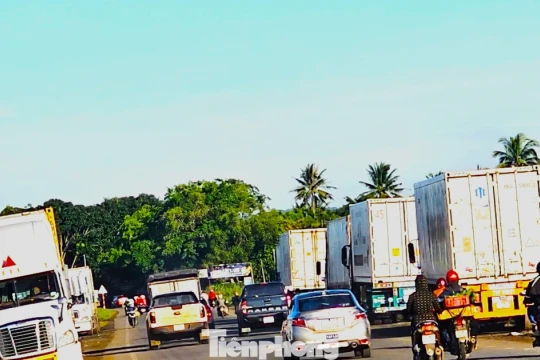 Xe container rồng rắn đi thu mua sầu riêng