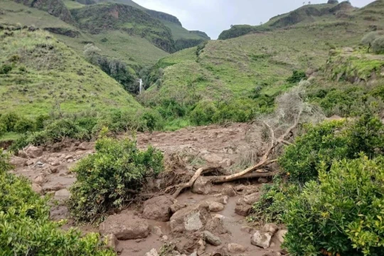 Lở đất chôn vùi ngôi làng ở Sudan, 1.000 người thiệt mạng, chỉ một người sống sót