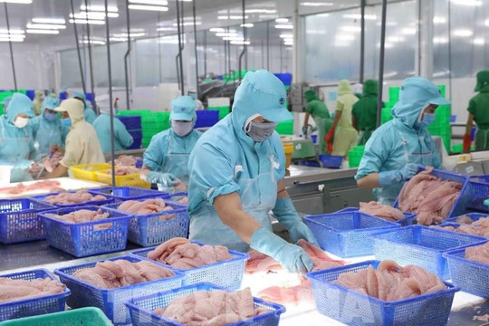 Không phải Mỹ hay Trung Quốc, đâu mới là điểm sáng bứt phá gần 40% của xuất khẩu nông sản Việt?