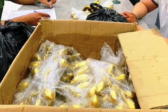 Bà T. đồng ý đổi nhẫn vàng lấy ‘cổ vật’, ngay sau đó mất trắng 5.000 USD: Công an lập tức vào cuộc, bắt gọn nhóm lừa đảo liên tỉnh