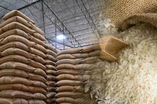 EVFTA mở rộng cửa châu Âu, nhưng doanh nghiệp Việt buộc phải chuẩn xanh