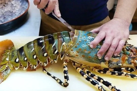 Tôm hùm Việt Nam tham vọng 'soán ngôi' thị trường cao cấp Trung Quốc