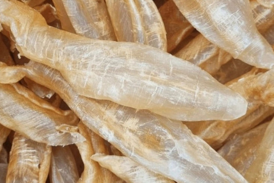 3 bộ phận của cá ‘quý như vàng’ nhưng nhiều người không biết mà ăn, thường vứt bỏ vào thùng rác