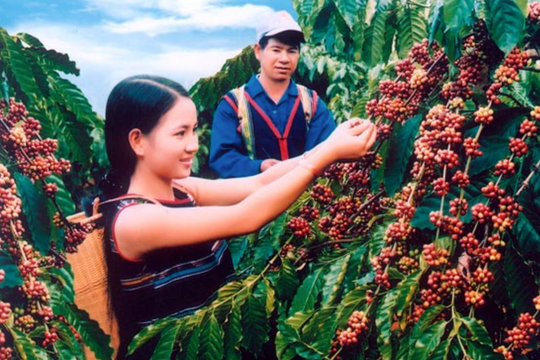 Mặt hàng tỷ đô của Việt Nam ồ ạt vào Campuchia, khối lượng xuất khẩu tăng hơn 400%