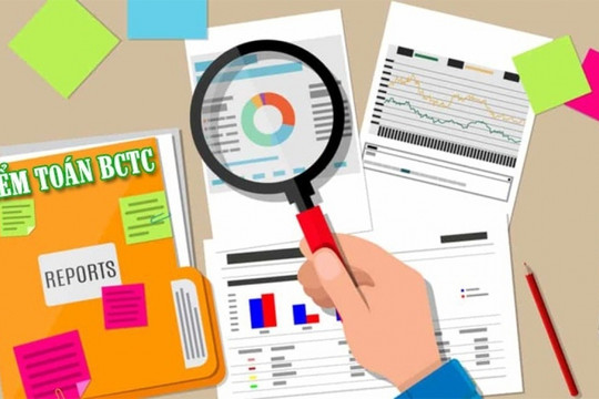Đình chỉ tư cách hành nghề với 2 kiểm toán viên của An Việt CPA