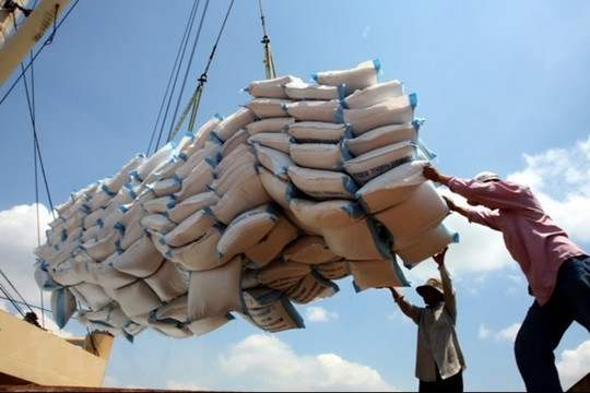 Philippines ngừng nhập khẩu, Chủ tịch Công ty xuất khẩu gạo lớn nhất Việt Nam: Không bán được ở thị trường này vẫn có thể bán ở thị trường khác