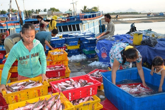 500 triệu USD hải sản Việt Nam nguy cơ bị cấm tại Mỹ, kế sinh nhai hàng trăm nghìn ngư dân chịu ảnh hưởng