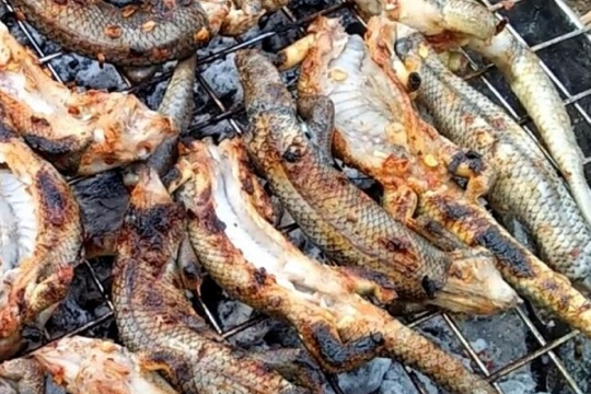 Nhiều người nhìn 'sợ chết khiếp', nhưng đây lại là đặc sản đắt đỏ, giá 350.000 đồng/kg vẫn được săn lùng