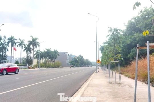 Chi hơn 600 tỷ đồng mở đường kết nối hai tuyến huyết mạch ở TPHCM