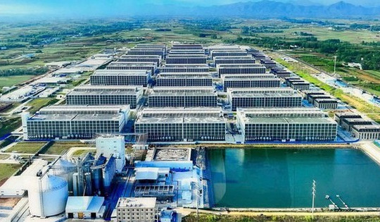 Quỹ đất khan hiếm, chung cư nuôi heo bất ngờ quay lại trên bản đồ quy hoạch