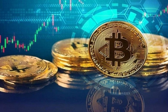 Công bố tham vọng khai phá thị trường tài sản số 100 tỷ USD, cổ phiếu doanh nghiệp tiếp tục phi mã bất chấp tăng gần 300%