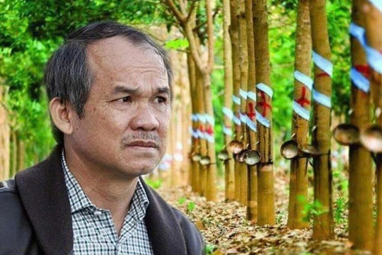 Quê bầu Đức tính chuyện chặt hơn 14.000ha cao su để trồng cây ăn quả, hướng đi gợi nhớ hành trình 'gian truân' của HAGL