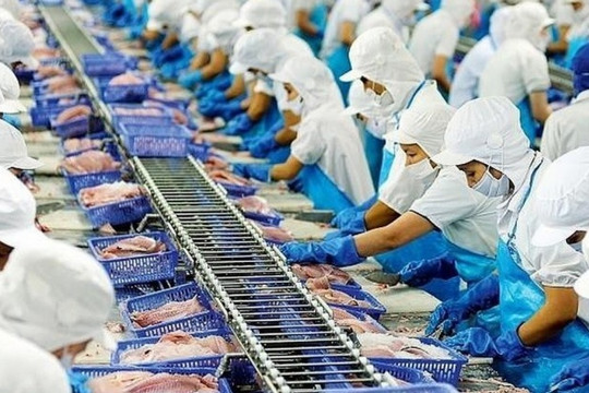 Bộ Công Thương đề nghị Hoa Kỳ xem xét khách quan về thương mại thủy sản