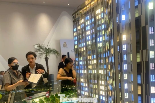 Thị trường căn hộ phục hồi, lượng giao dịch tăng đột biến