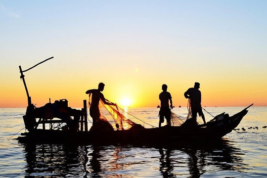 Thanh khoản nhóm chứng khoán về đáy: Nhà đầu tư 'thu lưới', dòng tiền rút đi
