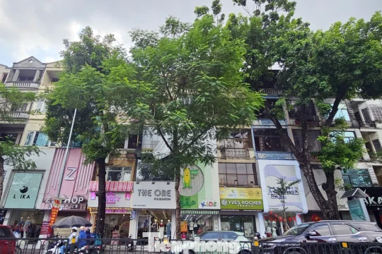 Không phải phố cổ, những tuyến đường ở Hà Nội có giá nhà phố rao bán vượt 1 tỷ đồng/m2