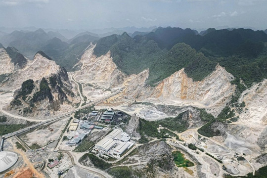 Ninh Bình đề nghị chuyển mục đích sử dụng 123ha rừng cho Thành Thắng, Xuân Thiện, Xuân Thành khai thác đá
