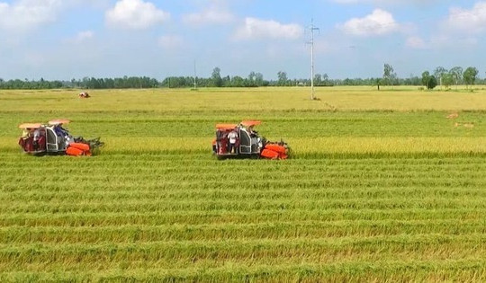 Tổng Bí thư: Luật Đất đai sửa đổi phải đảm bảo phương án xử lý căn cơ, đồng bộ