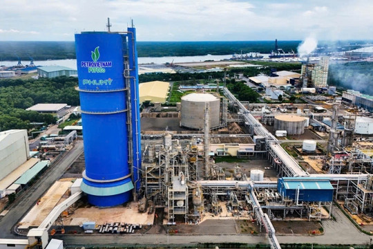 Đạm Phú Mỹ (DPM): 21 năm bền bỉ truyền thống sáng tạo, gắn kết và sẻ chia