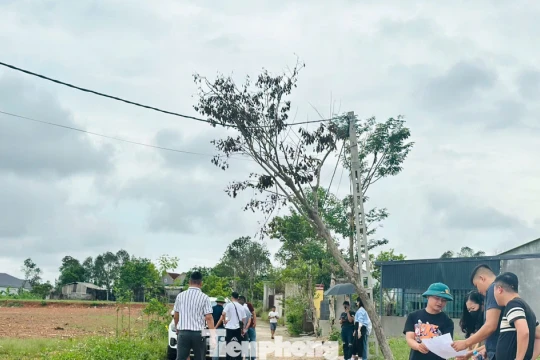 'Thổi giá', gom đất, phân lô bán nền tràn lan sau công bố quy hoạch