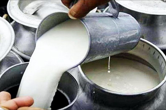 Đột kích một cơ sở lúc 4 giờ sáng, công an triệt phá đường dây sản xuất sữa giả bằng cách pha loãng sữa thật với nước bẩn