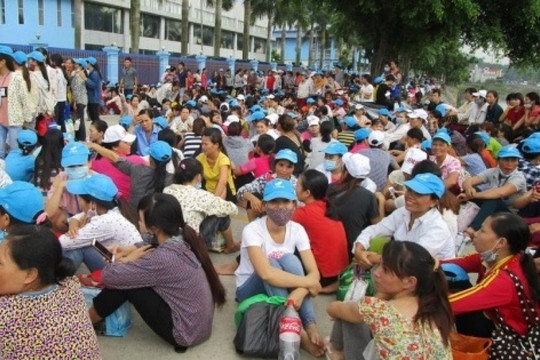 Diễn biến mới vụ nợ lương công nhân làm việc tại dự án sân bay Long Thành