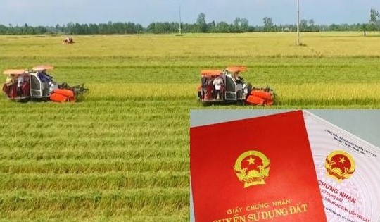 Từ giờ, chuyển đổi đất nông nghiệp không đủ điều kiện đối diện hậu quả thế nào?