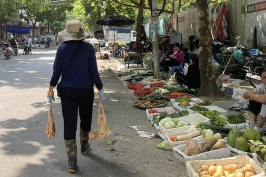 Chưa đến 1% rau trên cả nước đạt chứng nhận VietGAP, Hiệp hội Rau quả hiến kế lọc nguồn hàng