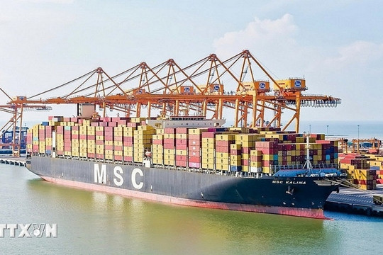 Đối trọng của Gemadept, VIMC, Viconship đón hãng tàu container lớn nhất thế giới