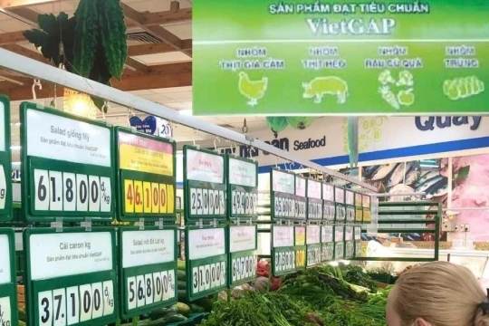 'Rau bẩn' vào trường học, siêu thị: 'Kiểm tra đột xuất, sai đến đâu xử lý đến đó'