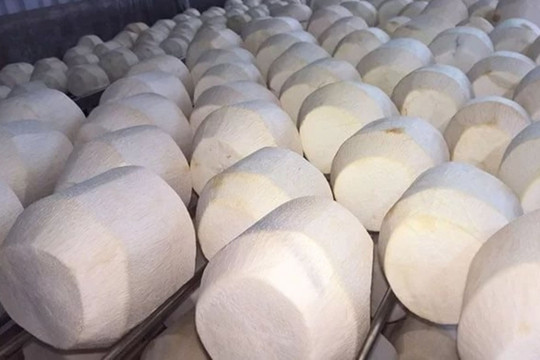 Vượt Trung Quốc, Mỹ chi hơn 2.100 tỷ để nhập một 'sản vật' của Việt Nam, hơn 40 quốc gia tranh nhau đặt hàng