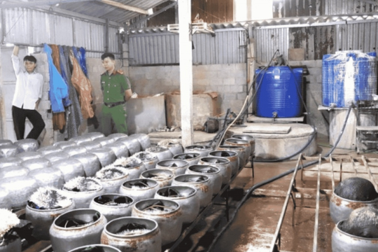 Phát hiện cơ sở dùng 'nước kẹo' để sản xuất gần 5 tạ giá đỗ bán ra thị trường