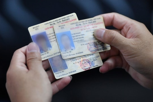 Năm 2025, nếu mất bằng lái xe, hãy làm ngay bước này để được cấp lại