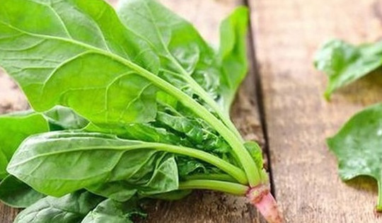 Loại rau rất ít người biết này là ‘nhân sâm nhà nghèo’, bán đầy ngoài chợ, giàu dinh dưỡng và tốt cho sức khỏe