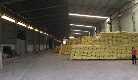 Triệt phá đường dây sản xuất phân bón giả quy mô hơn 17 tỷ, chặn đứng loạt hóa chất đã hết hạn sắp tuồn ra thị trường