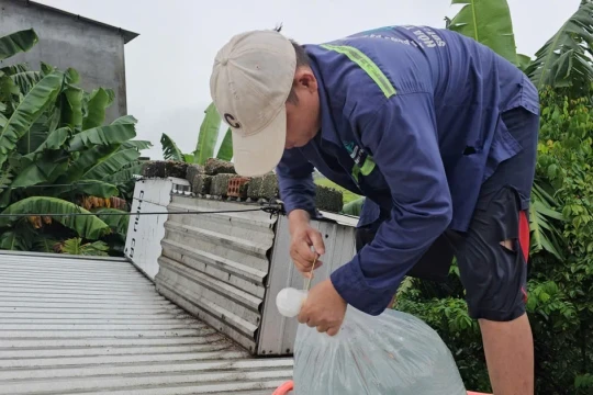 Người dân Huế dùng ‘cách lạ’ chằng chống nhà cửa trước bão gió ra sao?