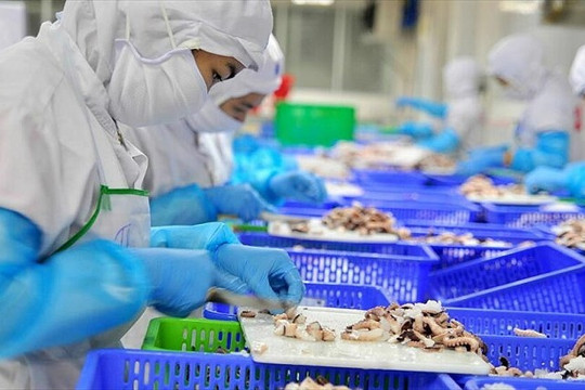 Tôm, cá ngừ vướng rào cản Mỹ: VASEP chỉ cách giúp thủy sản Việt đạt mục tiêu 10 tỷ USD xuất khẩu
