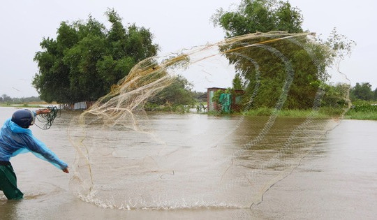 Người dân Đà Nẵng đội mưa đi săn 'lộc trời' sau bão Bualoi, đặc sản vừa kéo lên đã bán sạch trong 15 phút