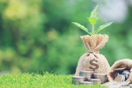 Một doanh nghiệp sắp trả cổ tức tiền mặt tỷ lệ 150%