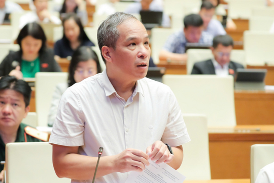 Phó Thống đốc Ngân hàng Nhà nước: Không bảo hiểm ngoại tệ để chống 'đô la hóa' nền kinh tế