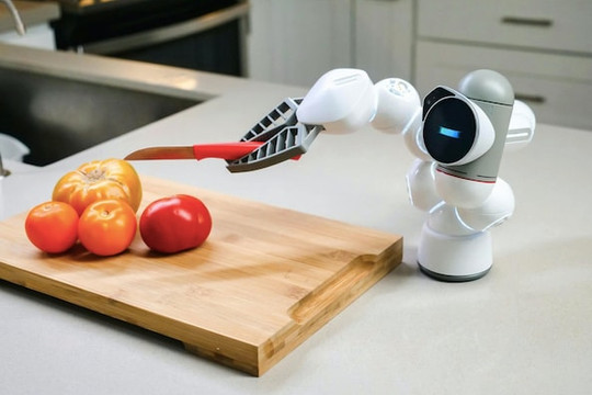 Khi AI mang hình hài robot sống giữa chúng ta