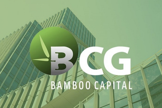 Bamboo Capital (BCG) đạt bước tiến trong tái cấu trúc, lùi thời điểm công bố BCTC đến cuối năm