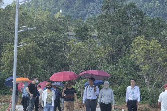 Dựng dự án 'ảo' phân lô bán nền, doanh nghiệp bị phạt hơn nửa tỷ đồng