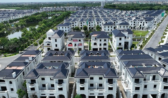 Đánh thuế đất bỏ hoang: Giải pháp cấp bách để lập lại kỷ cương thị trường bất động sản