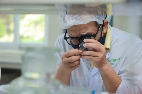 Thu hút nhân tài không đặt nặng vấn đề bằng cấp