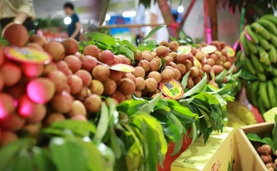 Xuất khẩu rau quả Việt Nam đạt 6,2 tỷ USD sau 9 tháng, lộ diện mặt hàng giữ vững 'ngôi vương'