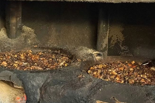 Cảnh tượng rùng mình bên trong cơ sở chế biến mỡ heo: Thu giữ 1,5 tấn mỡ heo, chất đống mỡ heo dưới nền nhà