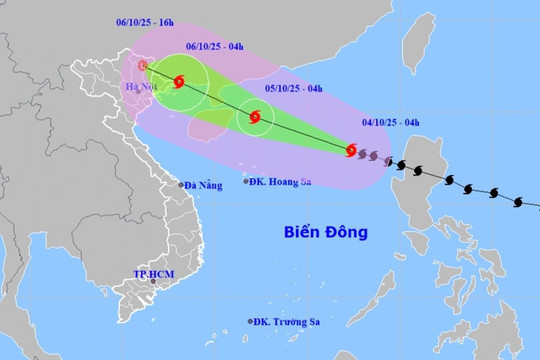 Bão Matmo có thể giật cấp 16, ảnh hưởng tới những khu vực nào của nước ta?