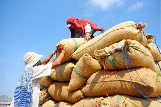 Tại sao Việt Nam xuất khẩu gạo hàng đầu nhưng vẫn chi 1,5 tỷ USD cho nhập khẩu?